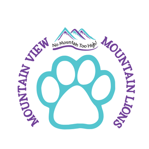 Team Page: Mountain View Elementary School